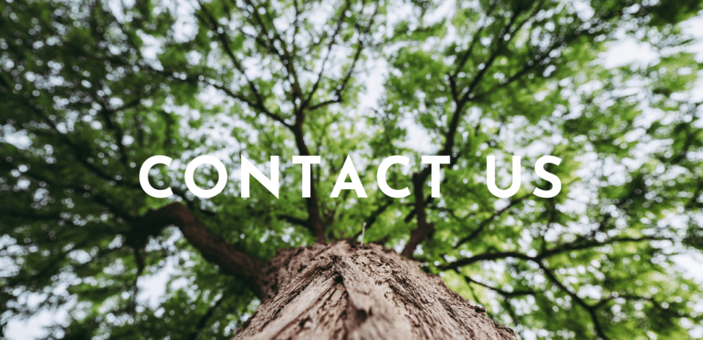 Mind Tree Marketing - Contact Us